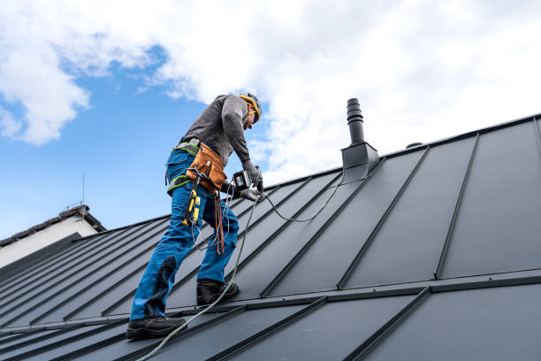 Best Solar Panel Roofing Installation  in Skyline Ganipa, NM
